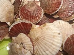 -鼎香缘海鲜自助火锅烤肉(锦辉购物广场店)