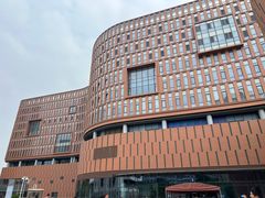 -中国宋庆龄青少年科技文化交流中心