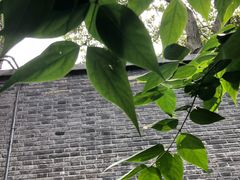 -上海孙中山故居纪念馆