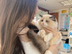 -lincat·猫舍(广州店)