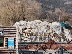 -北京西山国家森林公园