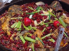 -老板恋上鱼(恒隆广场店)