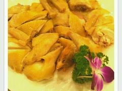 白切鸡-东江渔村(皇悦店)