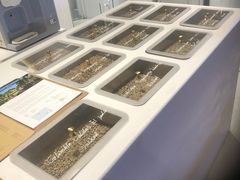 -% Arabica阿拉比卡咖啡(武汉天地店)
