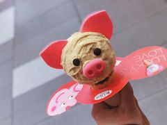 -野人先生现做冰淇淋(西安赛格店)