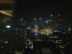 -新加坡泛太平洋酒店