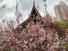 -堤角公园