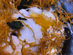 -Ocean's Table 欧舍