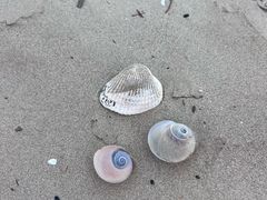 -南澳海滩