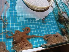 -渡海小渔村.老辈日照菜