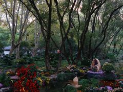 -上海共青森林公园