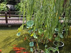 -耕渔小院·湖南鱼鲜(望城店)