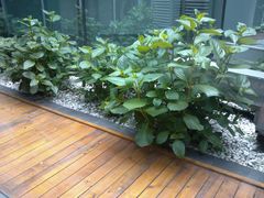 -青岛海尔洲际酒店