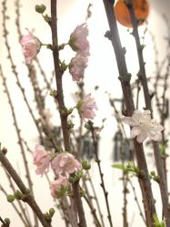 -Y+U遇瑜伽·普拉提