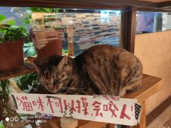 -猫的天空之城概念书店(杭州南宋御街店)