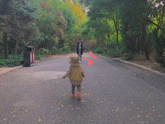 -塘沽森林公园