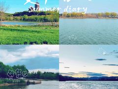 -永定河休闲森林公园