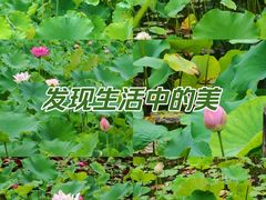 -临平公园(临平街道)