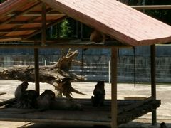 -广东茂名森林公园