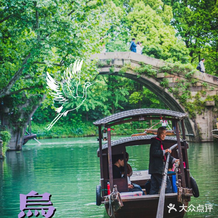 这些影视剧取景地尽然在乌镇「乌镇新鲜玩法」