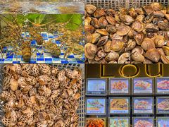 -老伙记海鲜码头(北滘店)