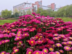-杭州电子科技大学(下沙校区)