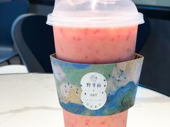 -野萃山·潮汕厚果汁(十亩地店)
