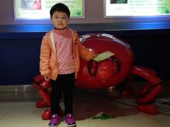 -上海昆虫博物馆