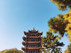 -黄鹤楼公园(黄鹤楼)