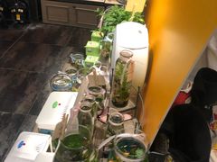 -酷乐潮玩(金桥国际店)