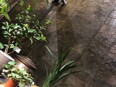 -泓0871臻选云南菜·味庄