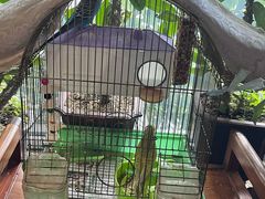 -草原塞蛮羊火锅城(港湾店)