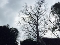 iphone_upload_pic-扬美古镇景区