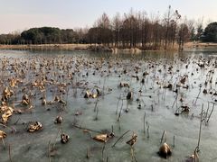 -苏州东太湖生态园