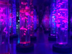 -梦幻海洋王国(吾悦广场张家港店)