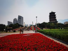 -永定河休闲森林公园