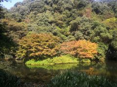 -西湖风景区十里琅珰-五云山
