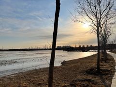 -天津东丽湖风景区