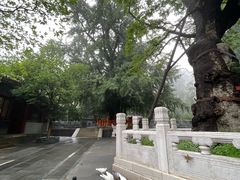 -潭柘寺景区