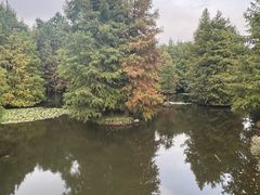 -卓粤拉肠(红庙店)