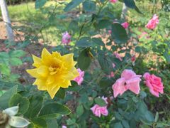 -韶关经律论国际酒店温泉