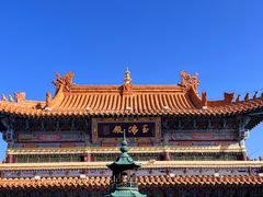 -大召无量寺
