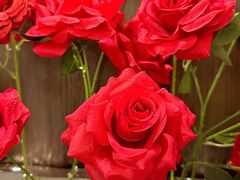 -静香HOUSE·全时段融合餐厅(七星欢乐颂店)