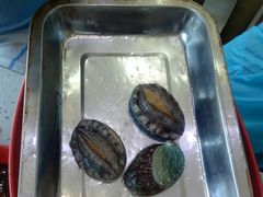 -王潮活海鲜自助·蒸汽海鲜
