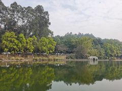 -三水森林公园