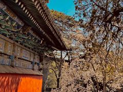 -潭柘寺景区