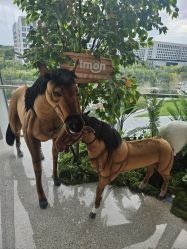 -IMON·HANSA潮玩玩偶毛绒玩具(通州万象汇店)