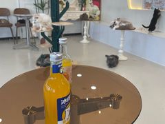 -共舞时光猫咖·狗咖(新街口店)
