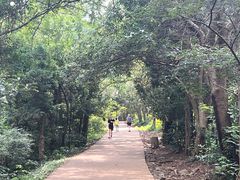 -桔子酒店(合肥淮河路步行街大东门地铁站店)