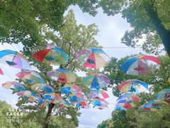 -上海共青森林公园